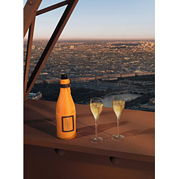 Veuve Clicquot Ponsardin Brut 75cl met Ice jacket