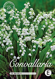 Convallaria Majalis met 5 zakjes verpakt a 5 bollen