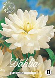 Dahlia Decorative Le Castle met 5 zakjes verpakt a 1 bollen