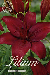 Lilium Asiatic Red met 5 zakjes verpakt a 2 bollen