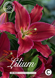 Lilium Oriental Red met 5 zakjes verpakt a 2 bollen