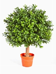 Boxwood Bol