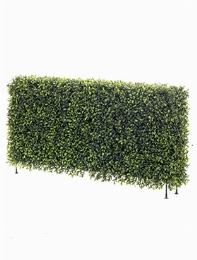 Boxwood Heg