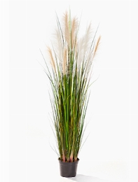 Grass Reed Bush Cream | Brown