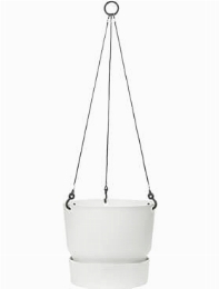 Greenville Hanging Basket White