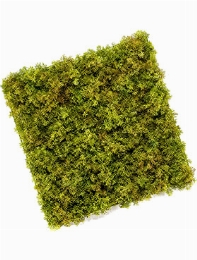 Iceland Moss Mat 0