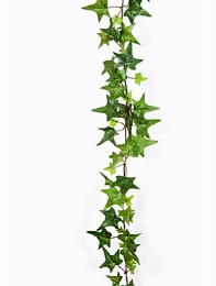 Ivy Garland