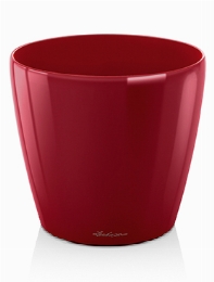 Lechuza Classico Scarlet red