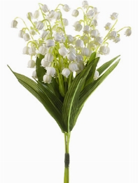 Lily of Valley White