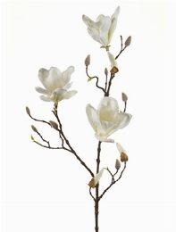 Magnolia Tak Cream