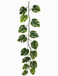 Monstera deliciosa Garland