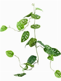 Monstera Garland