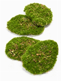 Moss plate Green 4 Pcs.|bag