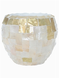 Oceana Pearl Copper Couple White Yellow