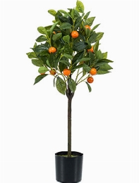 Orange tree Vertakt