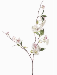 Peach blossom Tak Cream| Light Pink