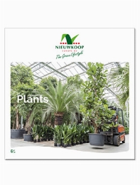 Planten Brochure