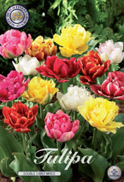 Tulp Double Early Mixed met 5 zakjes verpakt a 10 bollen